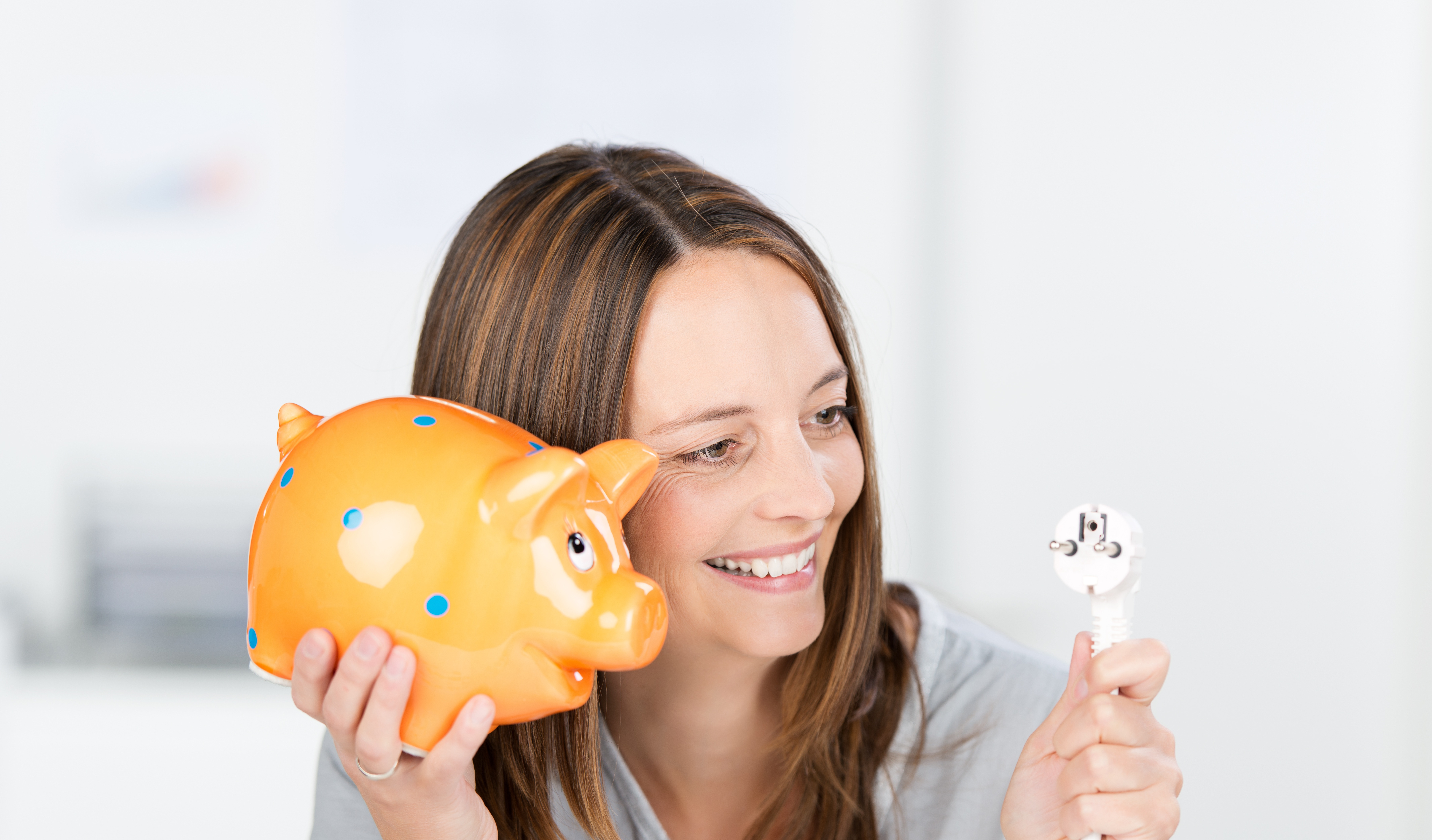 Neue Ökostromtarife HAB.GreenLocal und HAB.GreenRegio - Stadtwerke Hammelburg führen zwei neue Ökostromtarife mit attraktivem Wechselbonus für Neukunden ein 